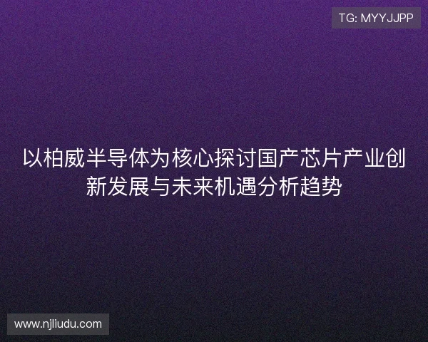 以柏威半导体为核心探讨国产芯片产业创新发展与未来机遇分析趋势